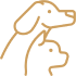 Group-1321317408-1.png